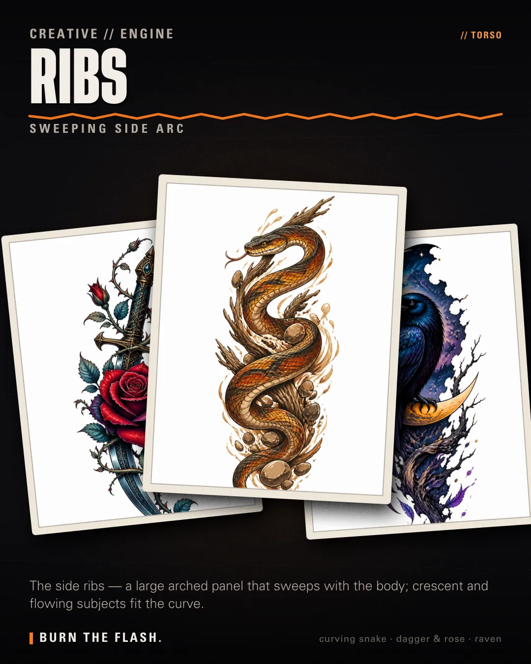 Ribs placement poster